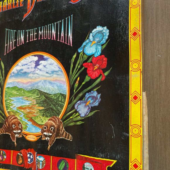 Charlie Daniels Band “Fire on the Mountain” vinyl LP - Picture 5 of 16